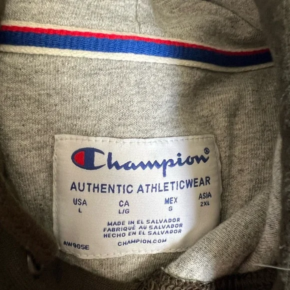 Champion Men’s Champion Hoodie Green Color Size Large - Picture 4 of 9